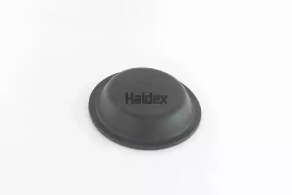 HALDEX DP24L