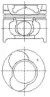 IPSA PI000200