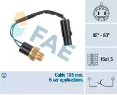 FAE 36610