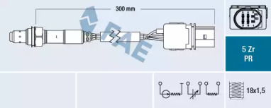 FAE 75031