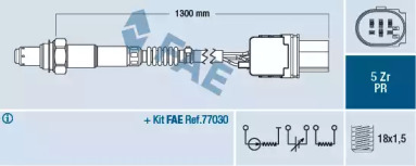 FAE 75053