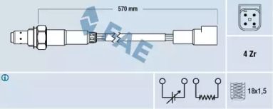 FAE 77212