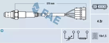 FAE 77239