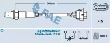 FAE 77303