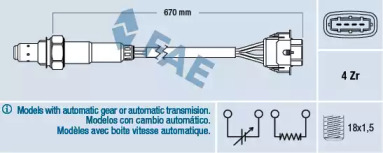 FAE 77304