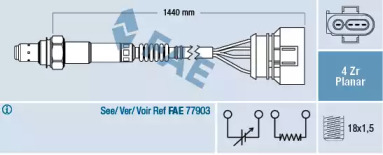 FAE 77401