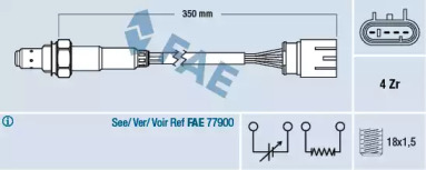 FAE 77465