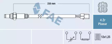 FAE 77541