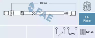 FAE 77543