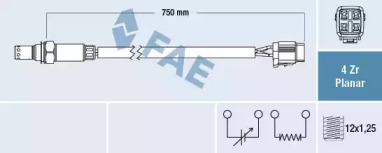 FAE 77563