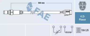 FAE 77565