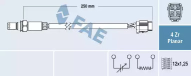 FAE 77566