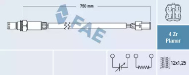 FAE 77570