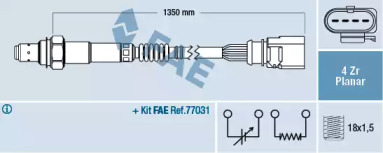 FAE 77904