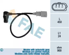 FAE 79055