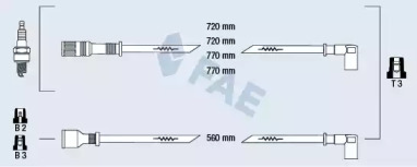 FAE 83020