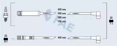 FAE 83560