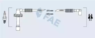 FAE 85481