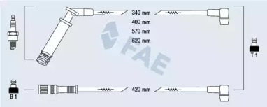 FAE 85570