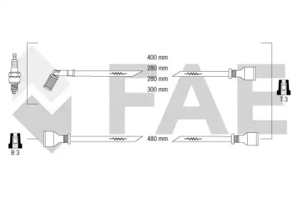 FAE 85670