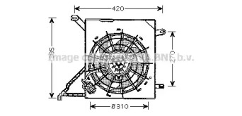 AVA QUALITY COOLING OL7534