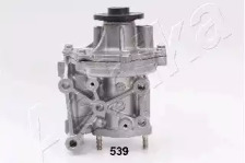 ashika 3505539
