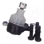 ashika 730cc01
