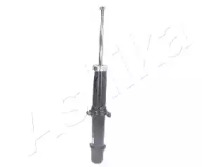 ashika ma40024