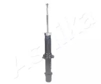 ashika ma40024