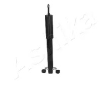 ashika ma80023