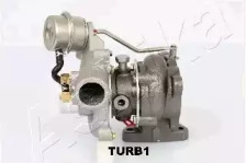 ashika turb1