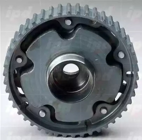 IPD 456018