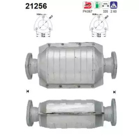 AS 21256