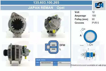 CV PSH 135.603.100.265