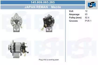 CV PSH 145.809.065.265