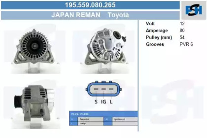 CV PSH 195.559.080.265