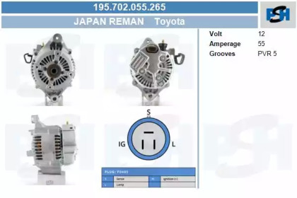 CV PSH 195.702.055.265