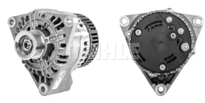 mahle original mg236