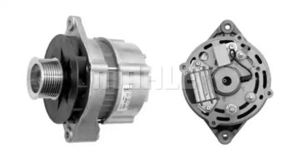 MAHLE ORIGINAL MG 307