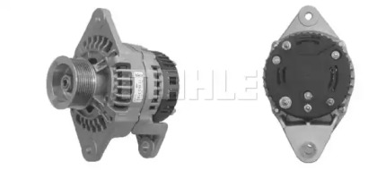 MAHLE ORIGINAL MG 537