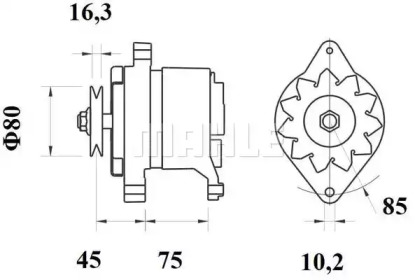 MAHLE ORIGINAL MS 636