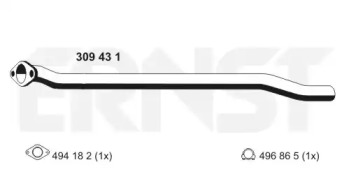 ERNST 309431