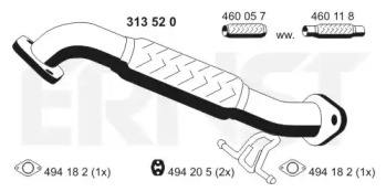ERNST 313520