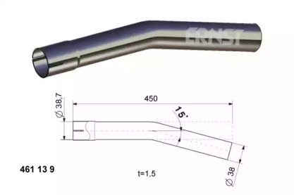 ERNST 461139