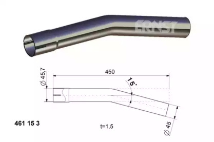 ERNST 461153