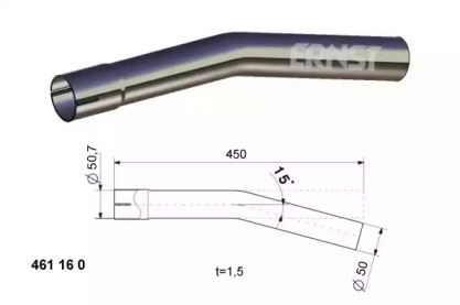 ERNST 461160