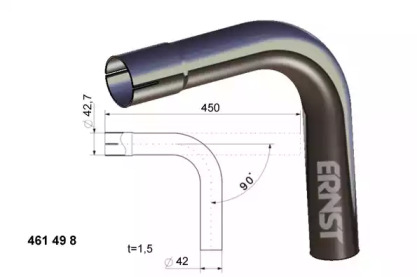 ERNST 461498