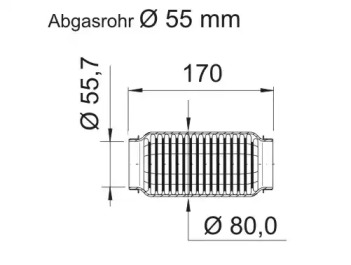 ERNST 464253 ERNST 464253