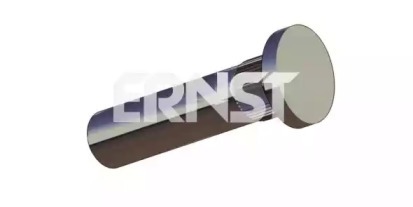 ERNST 490719