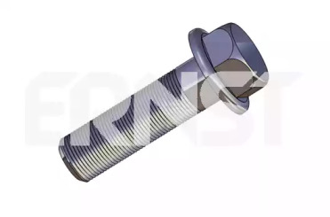 ERNST 492355